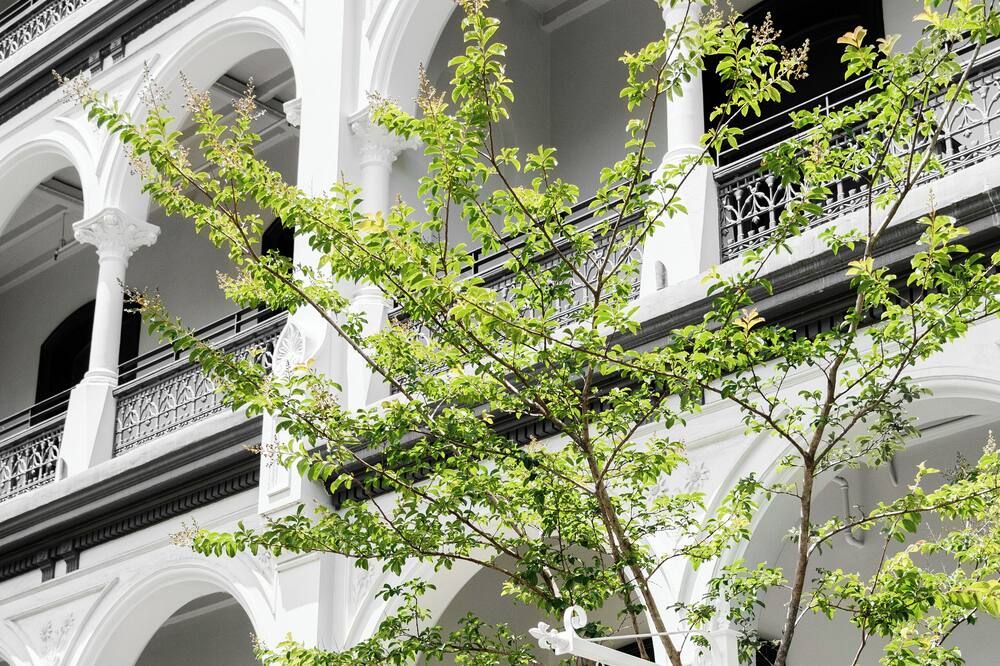 Vista del exterior