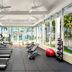 Gimnasio