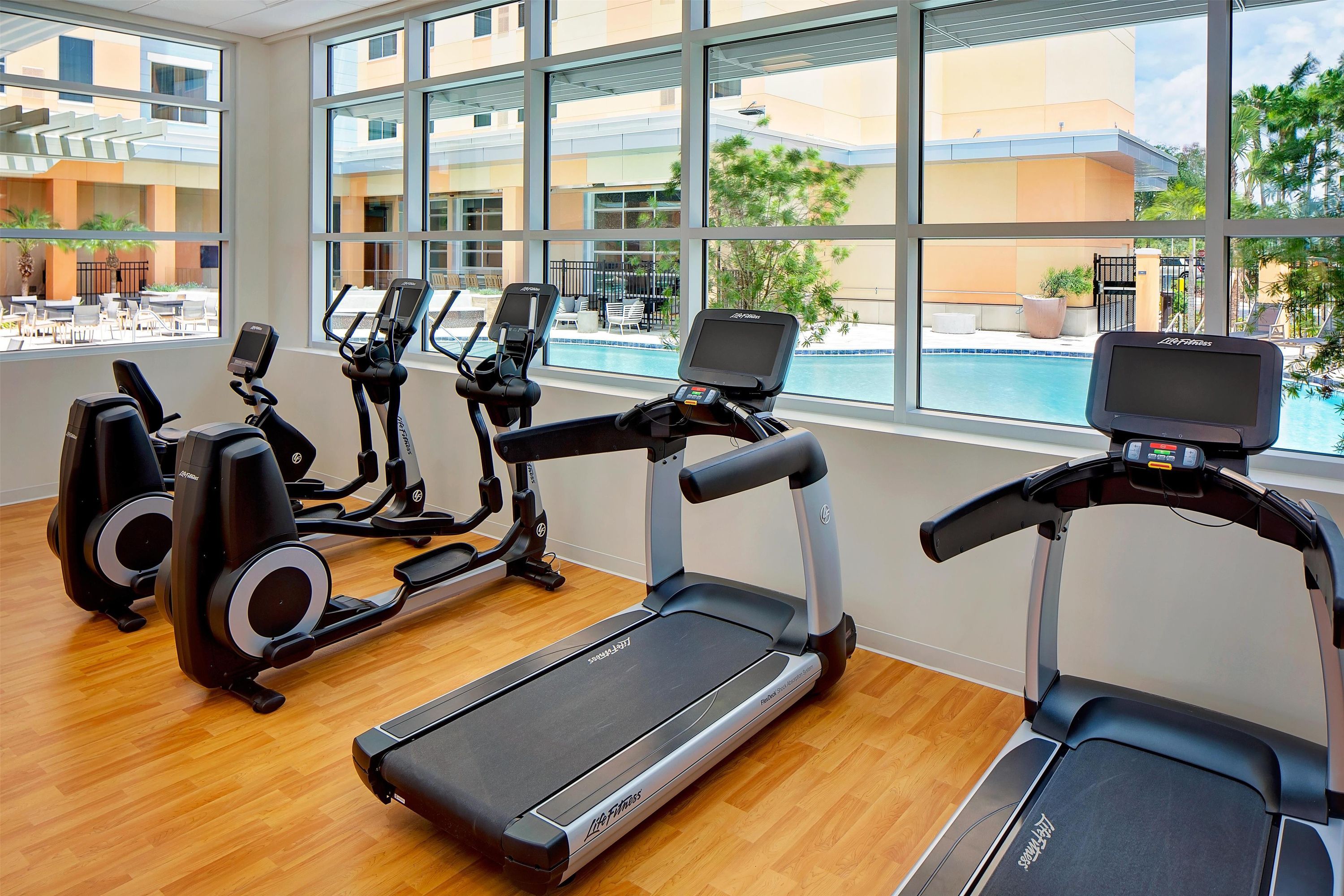 Gimnasio