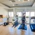 Gimnasio