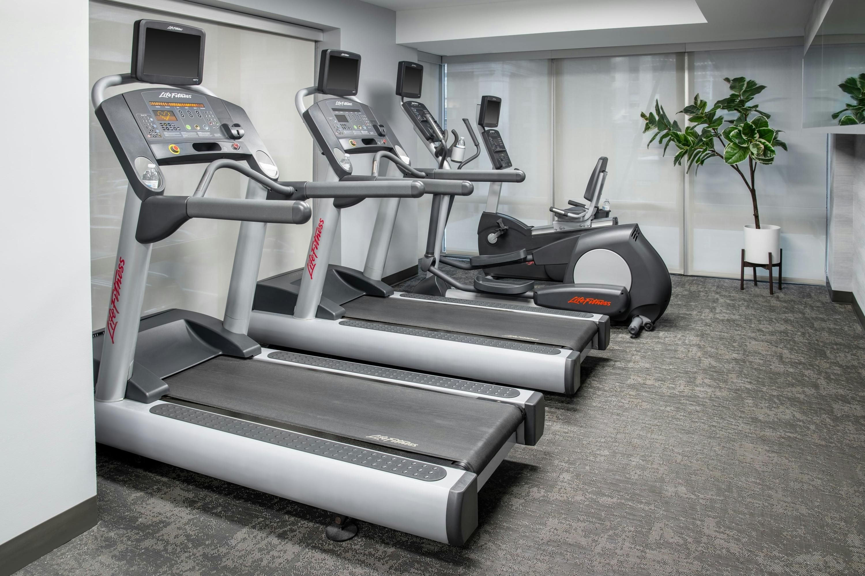 Gimnasio