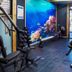 Gimnasio