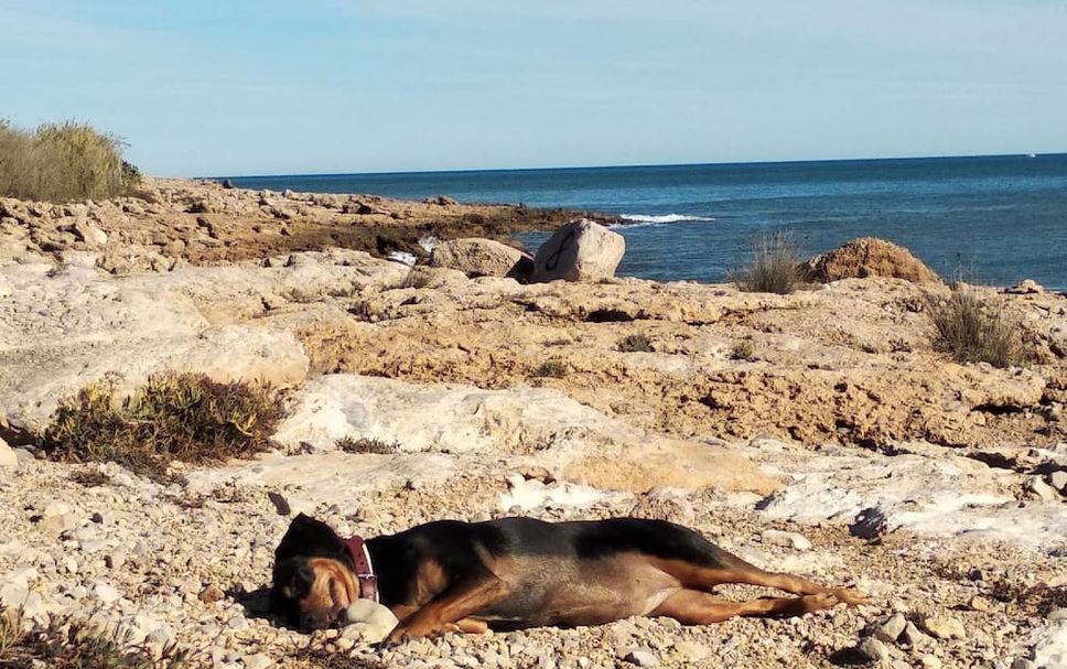 Otro Foto