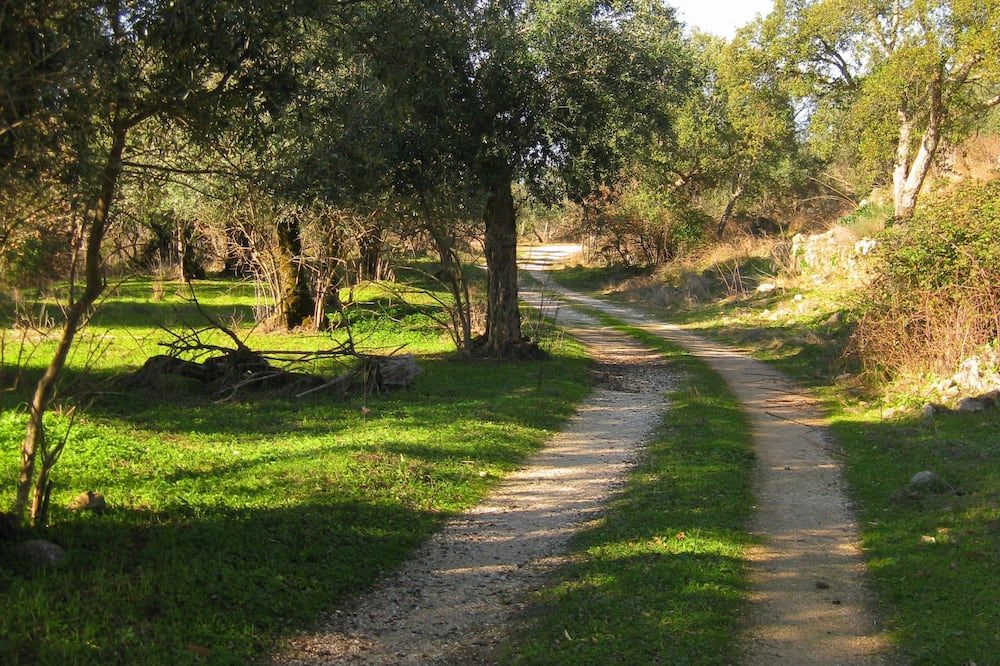 Vista del exterior