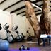 Gimnasio