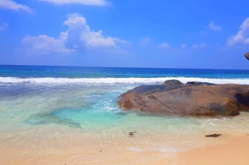 Playa