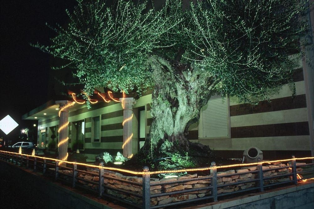 Vista del exterior