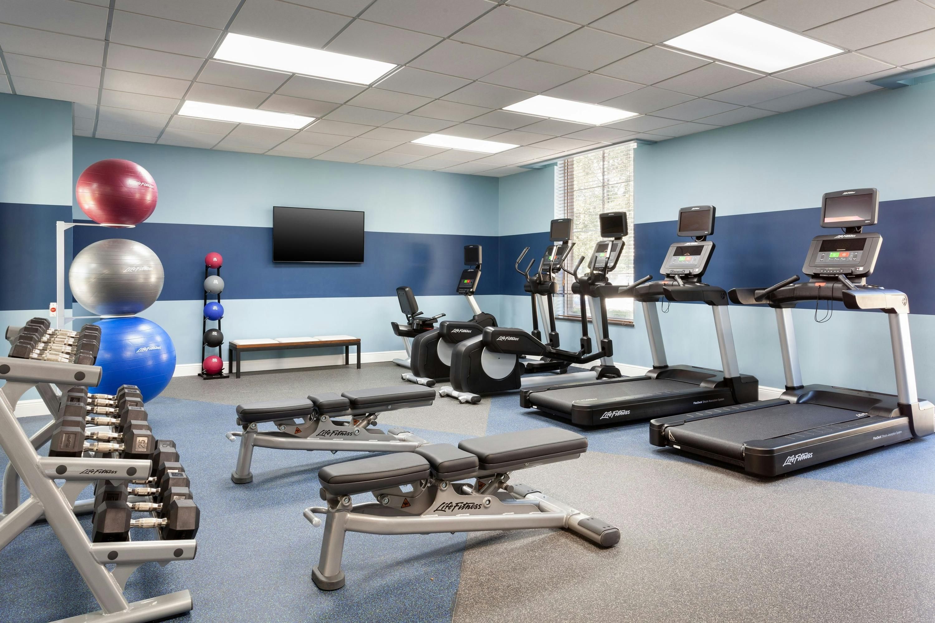 Gimnasio