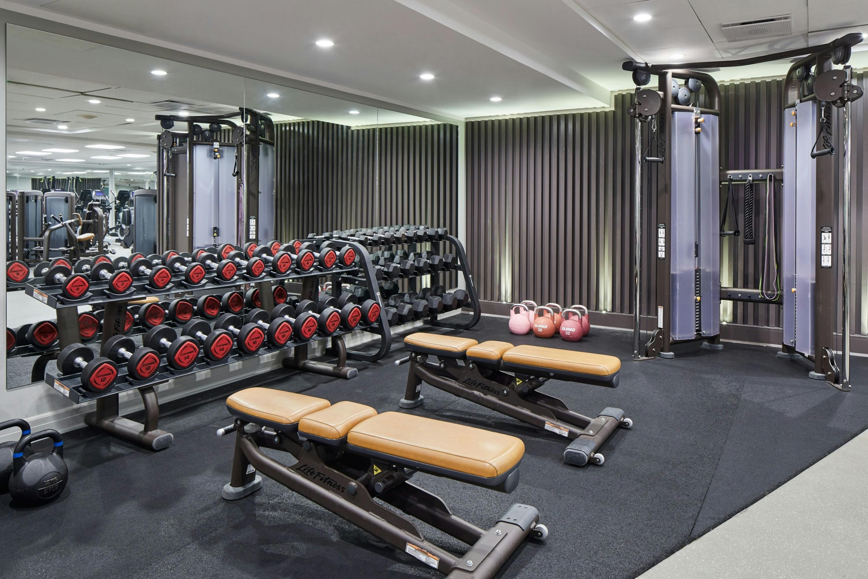 Gimnasio