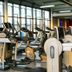 Gimnasio