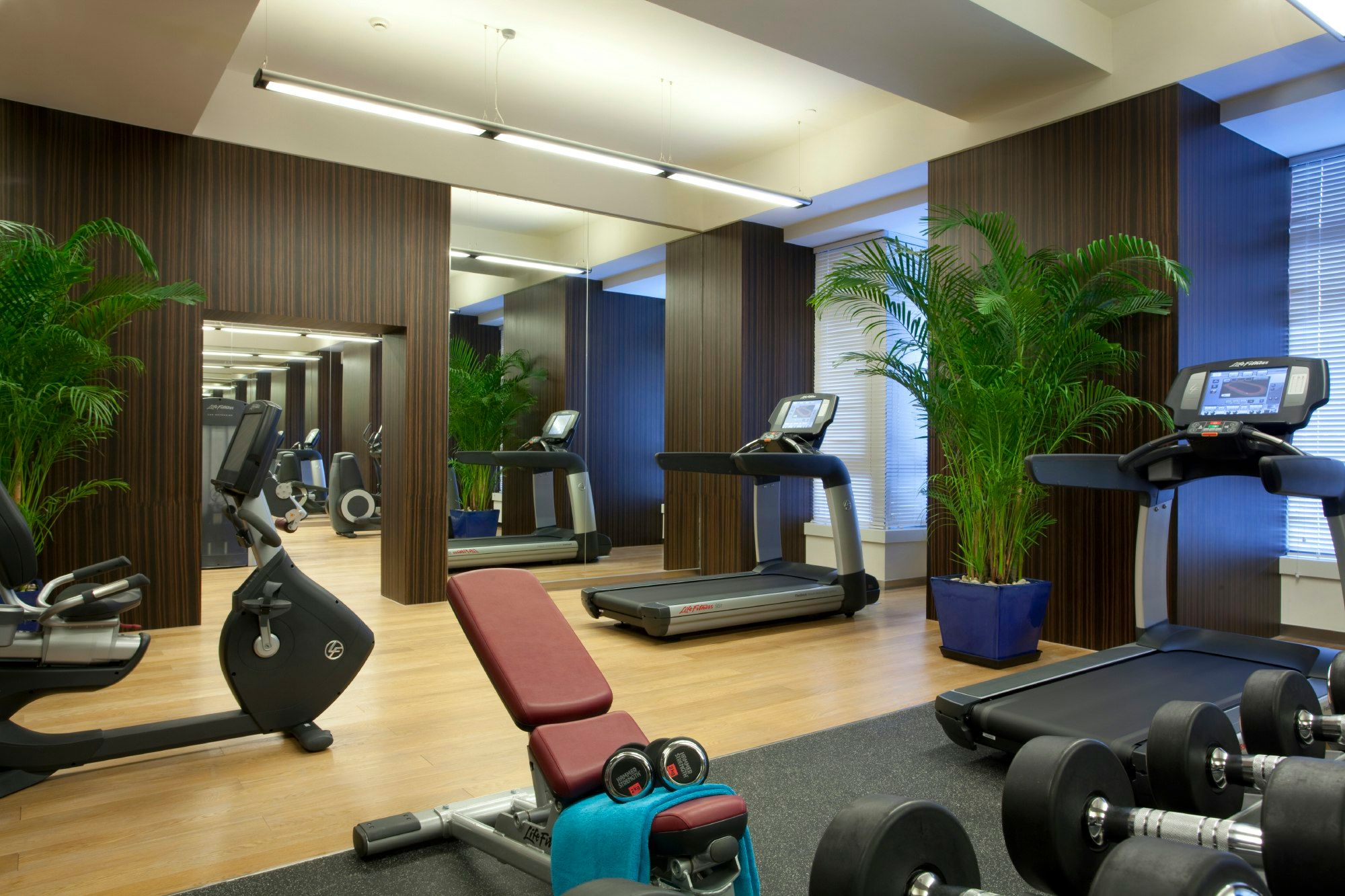 Gimnasio