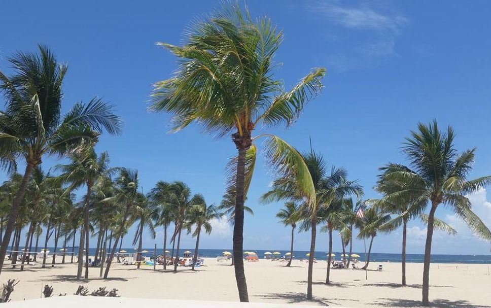 Playa Foto