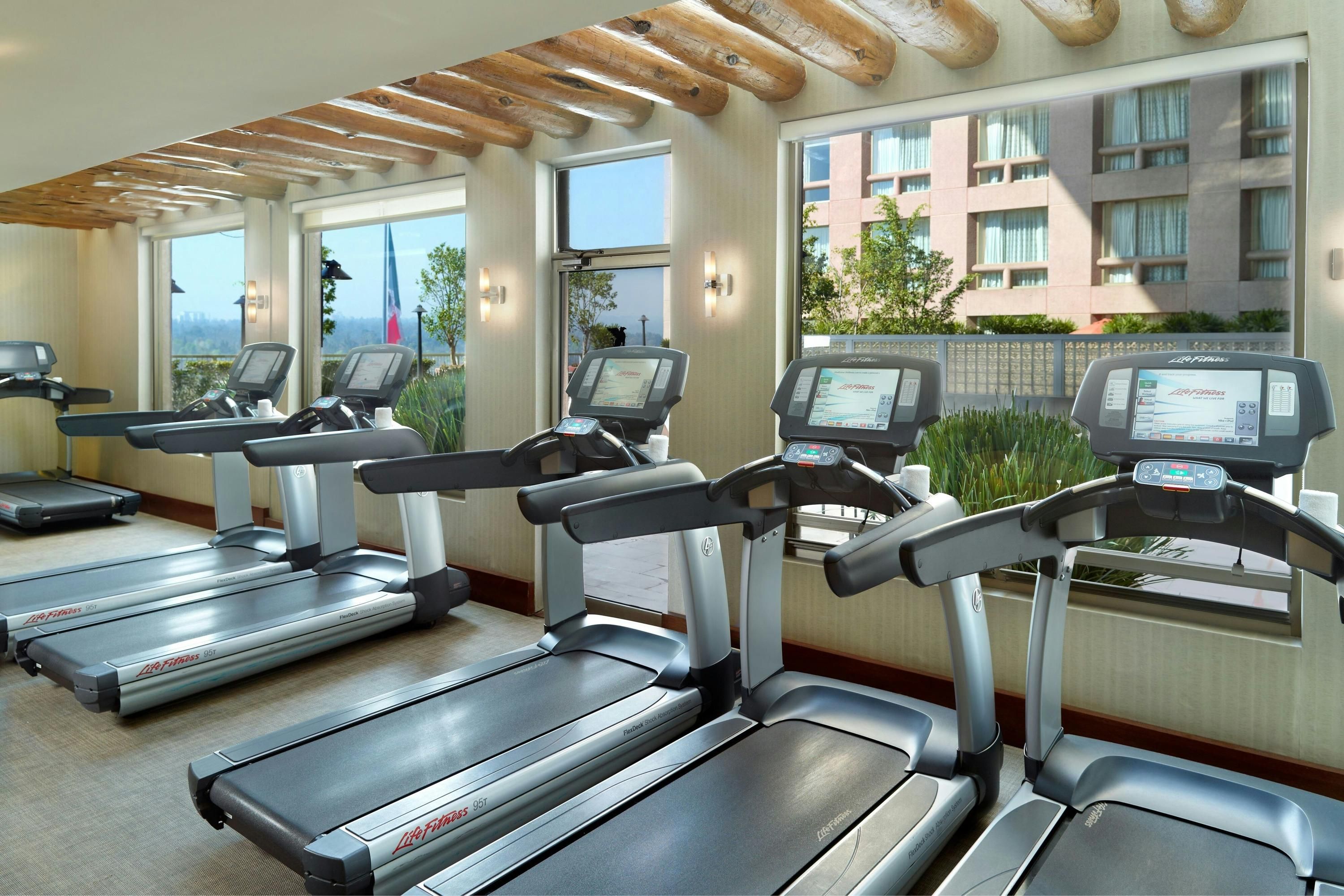 Gimnasio