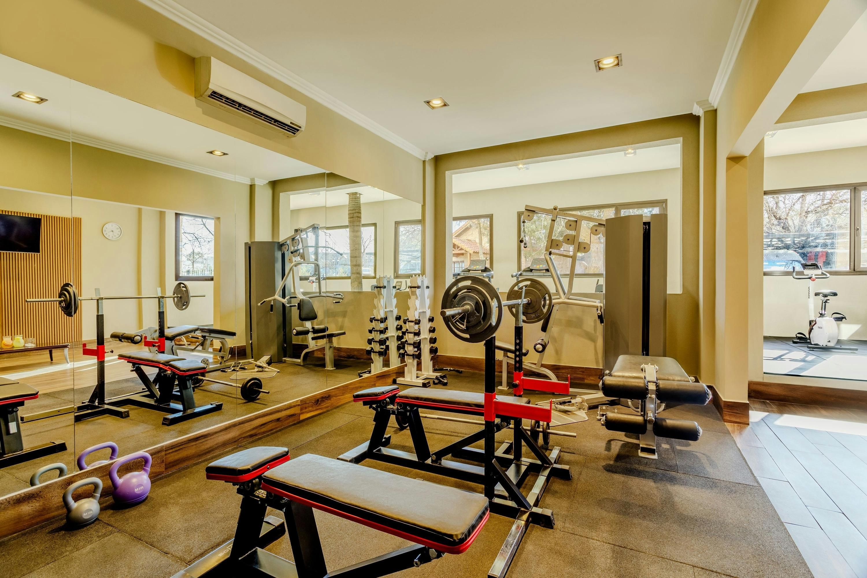Gimnasio