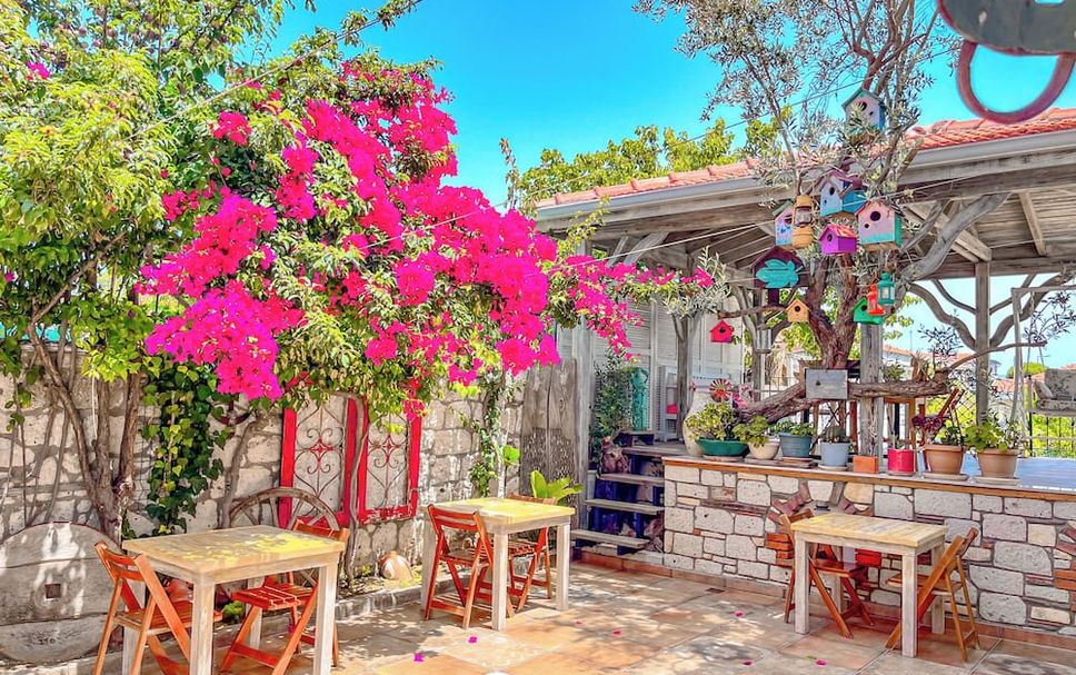 Patio Foto