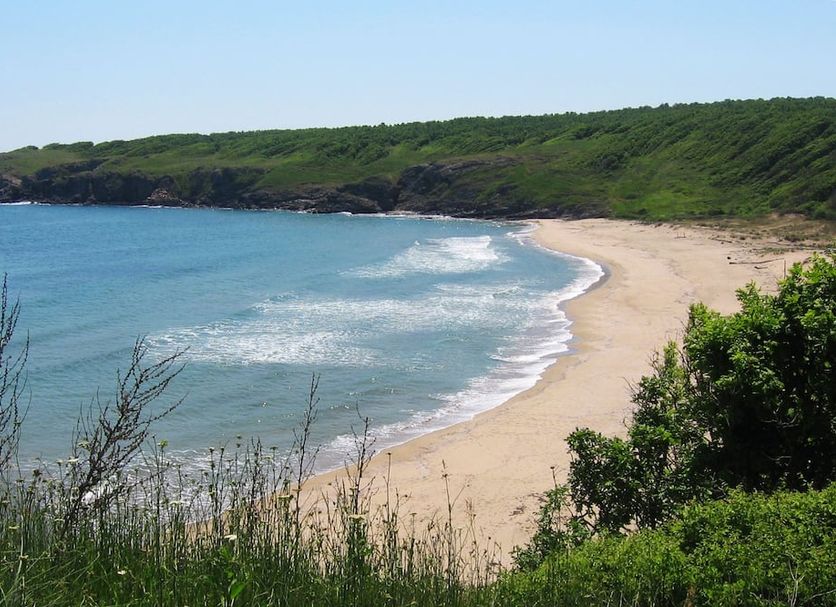 Playa Foto