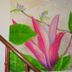 Escaleras