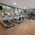 Gimnasio