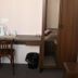 Servicio de la habitación