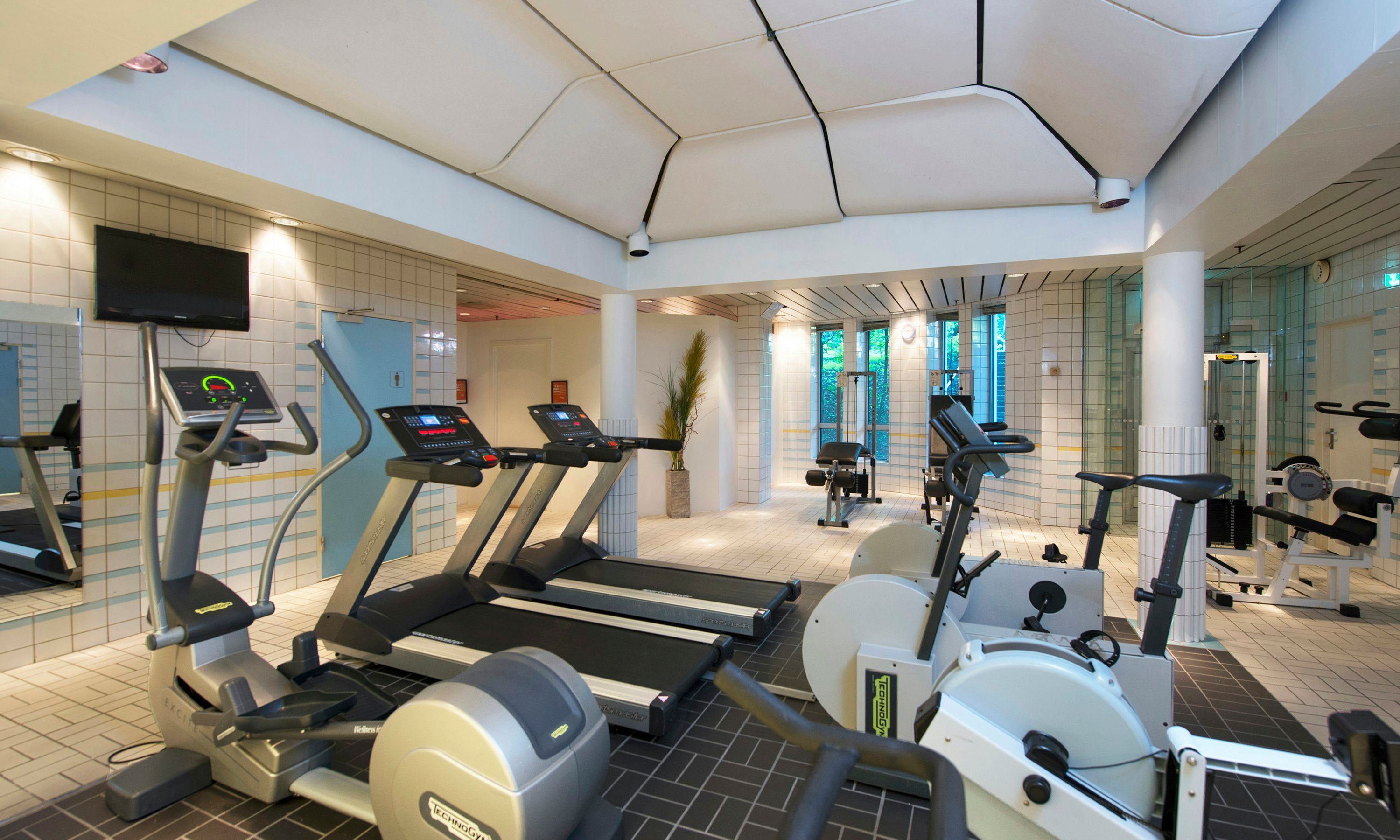 Gimnasio