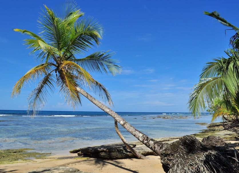Playa Foto