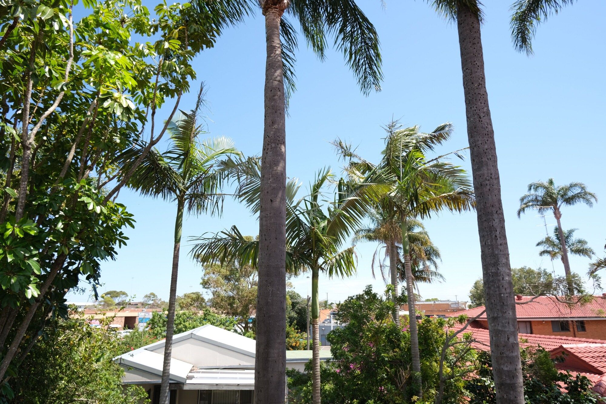 Vista del exterior