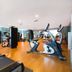 Gimnasio