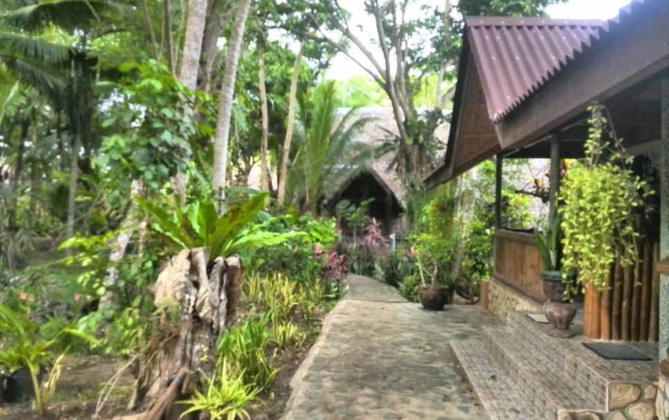 Vista del exterior Foto