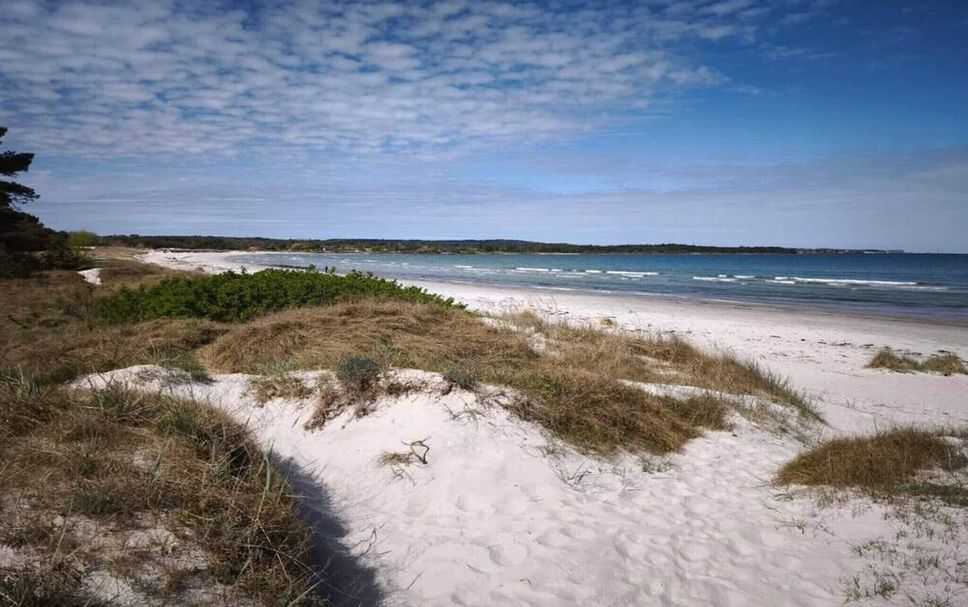Playa Foto