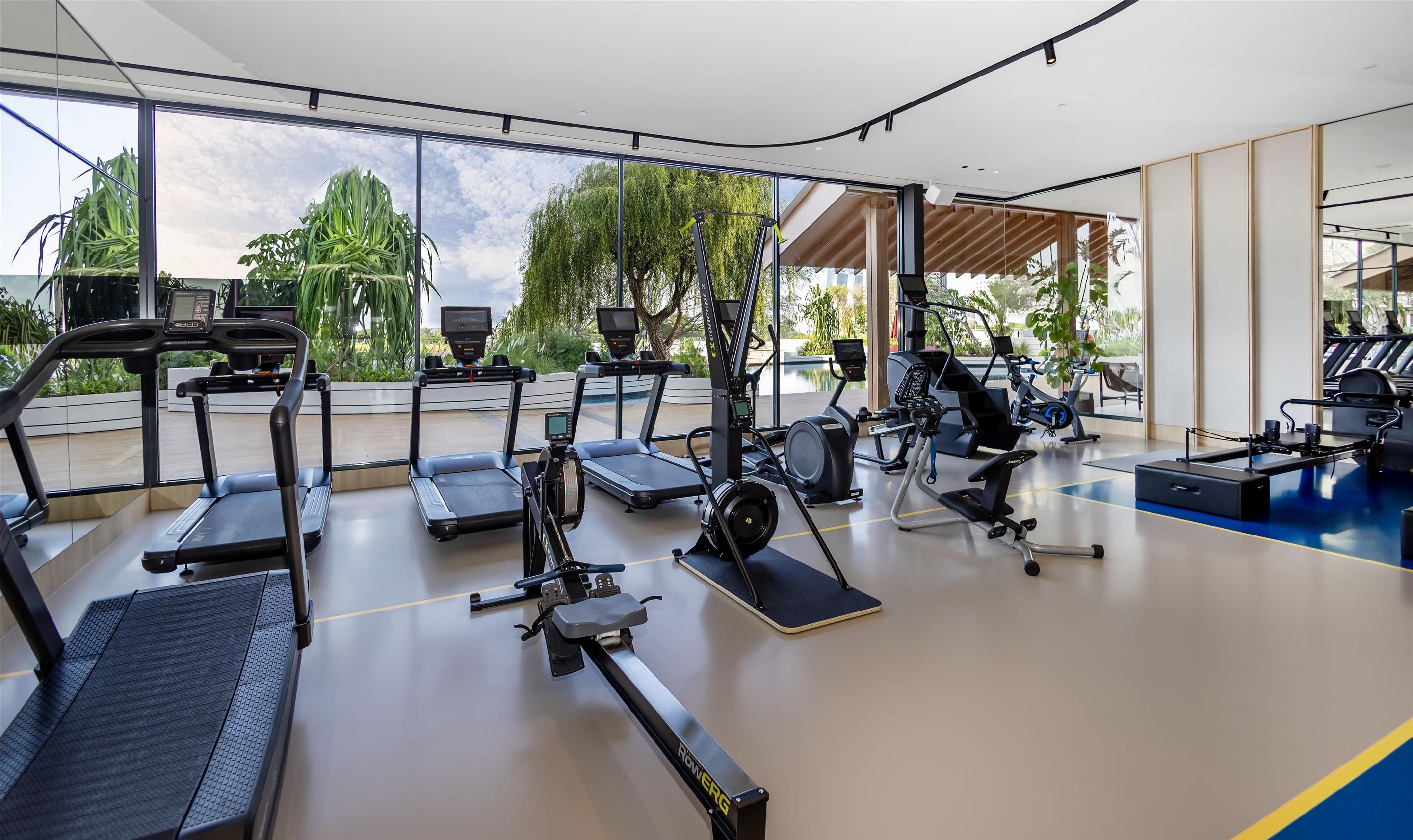 Gimnasio