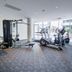 Gimnasio