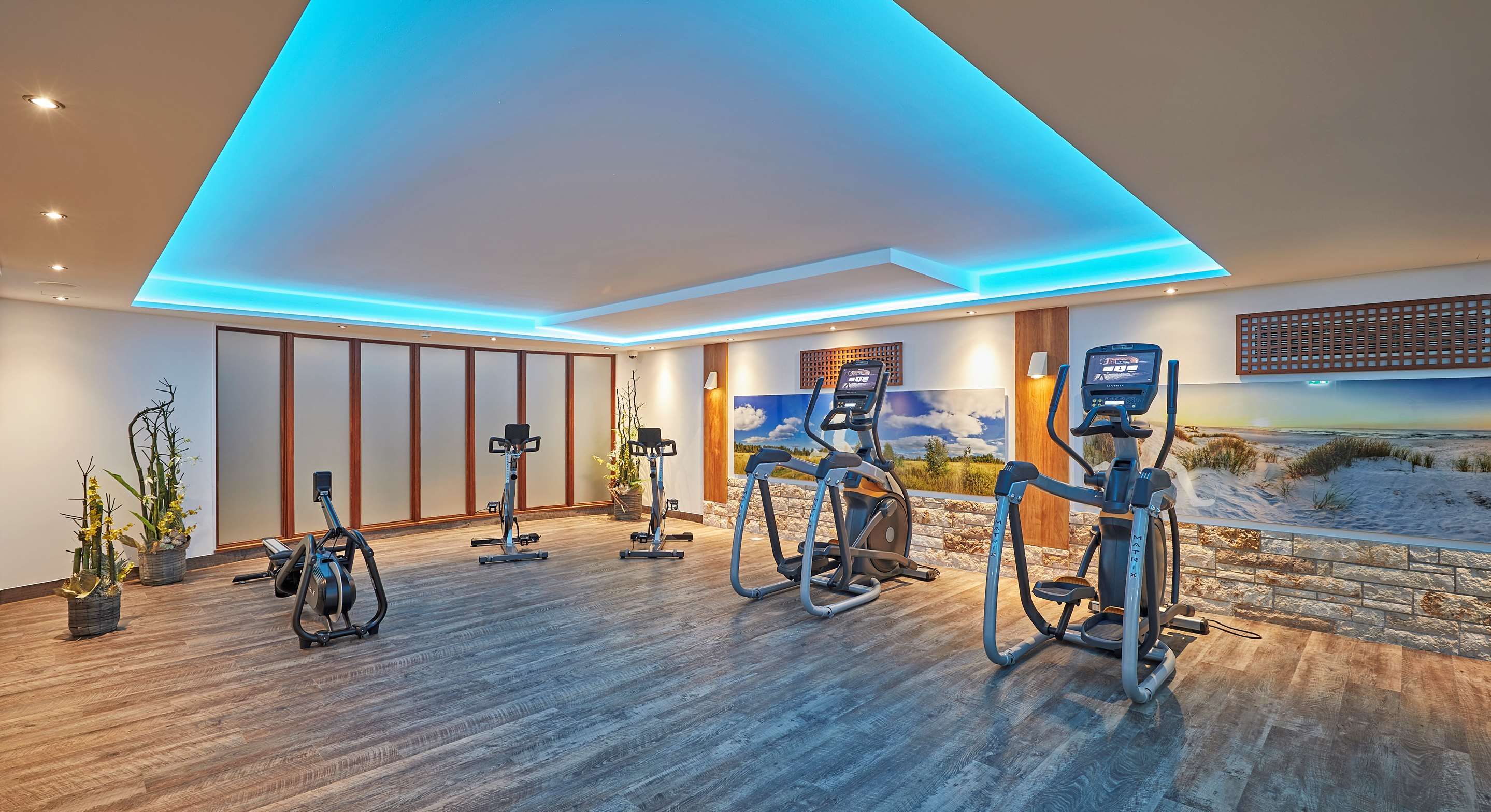 Gimnasio