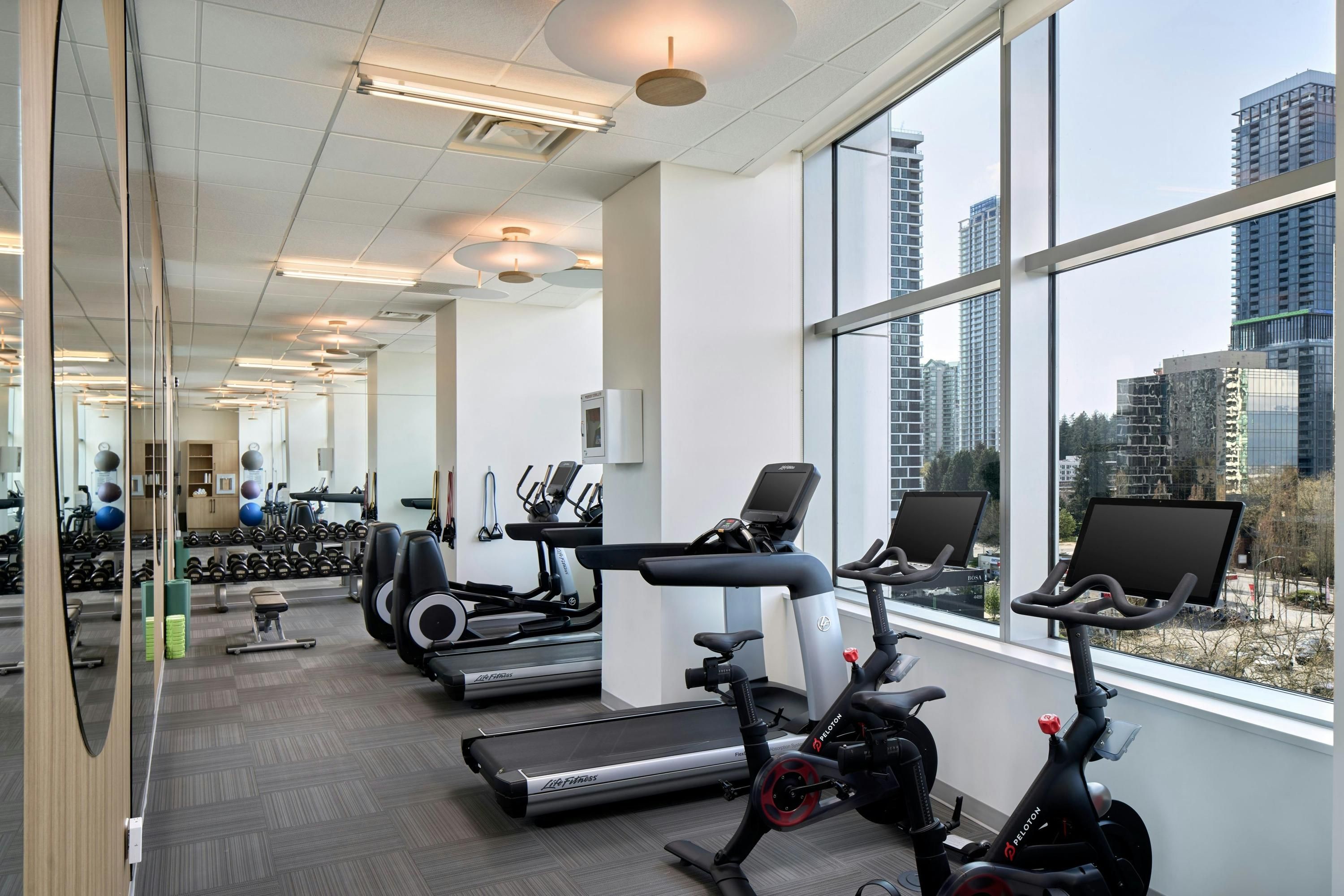 Gimnasio