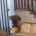 Escaleras