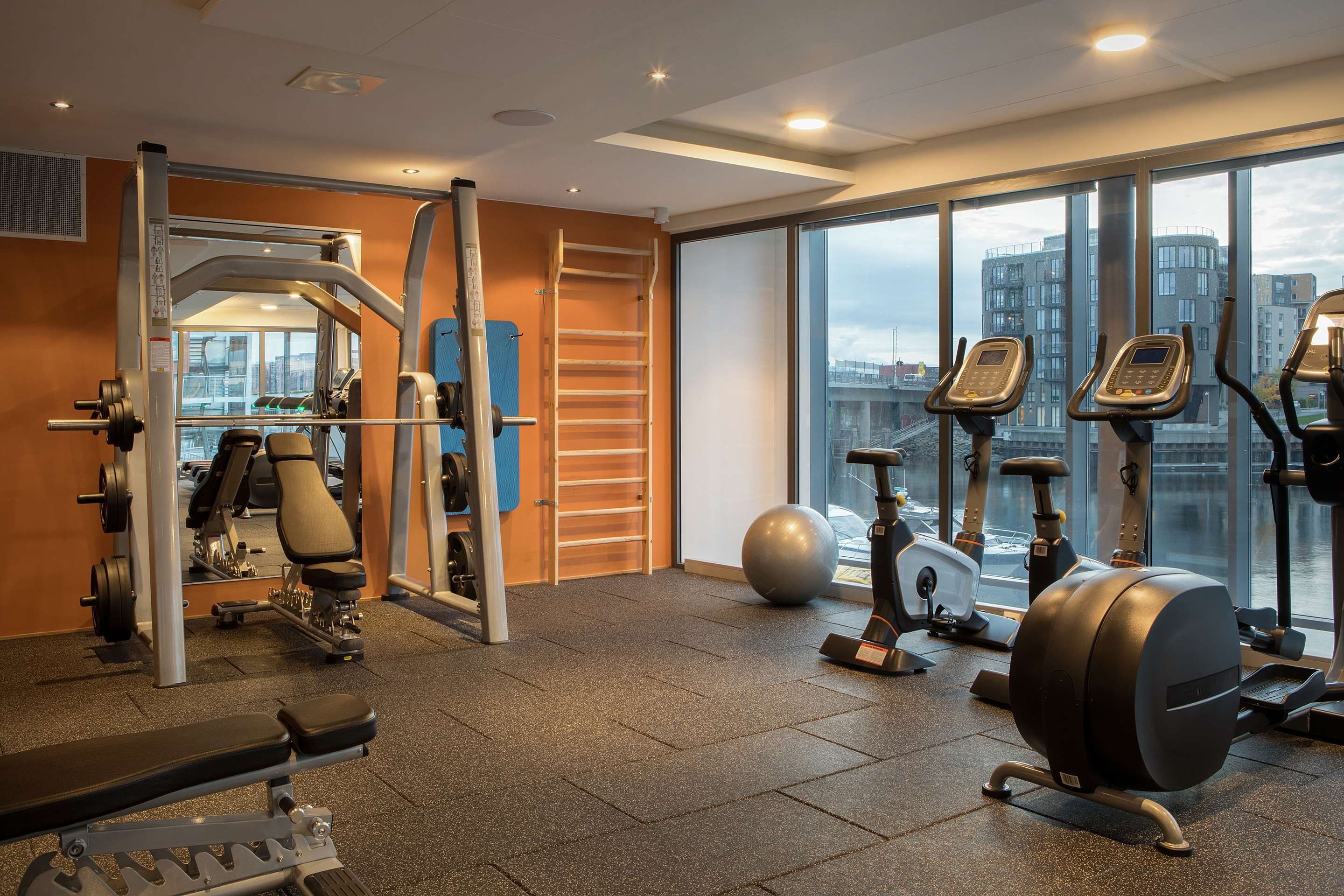Gimnasio