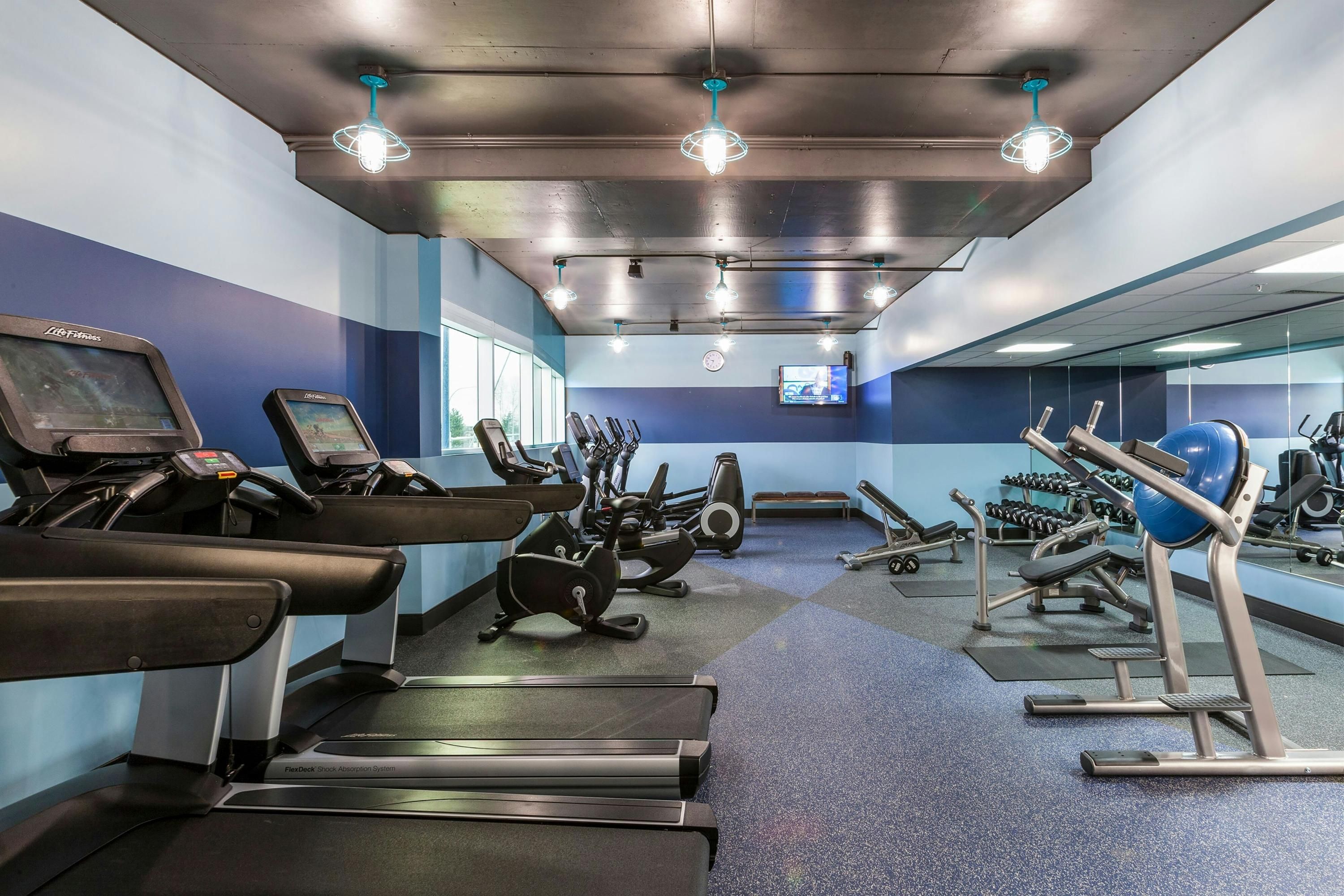 Gimnasio