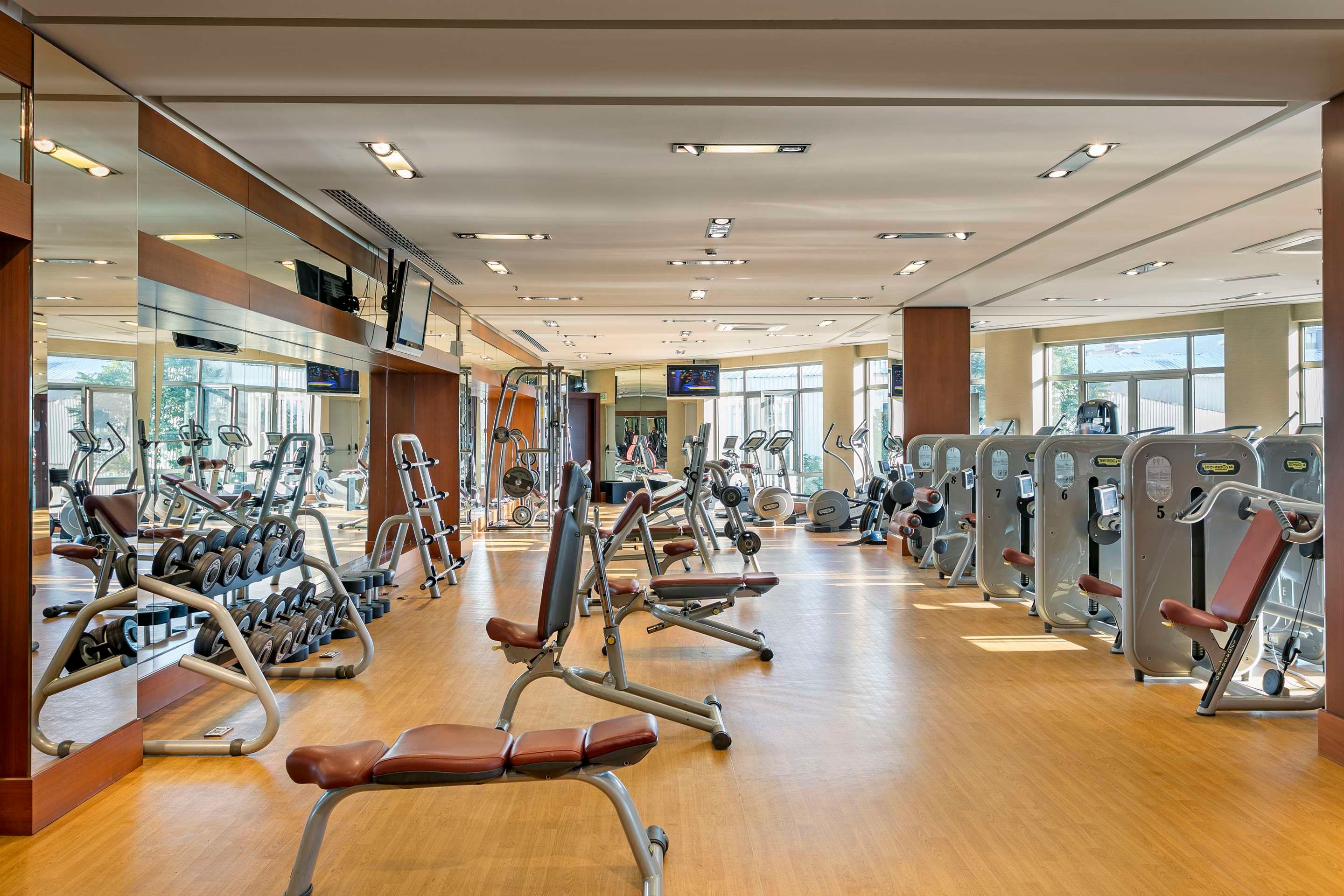 Gimnasio