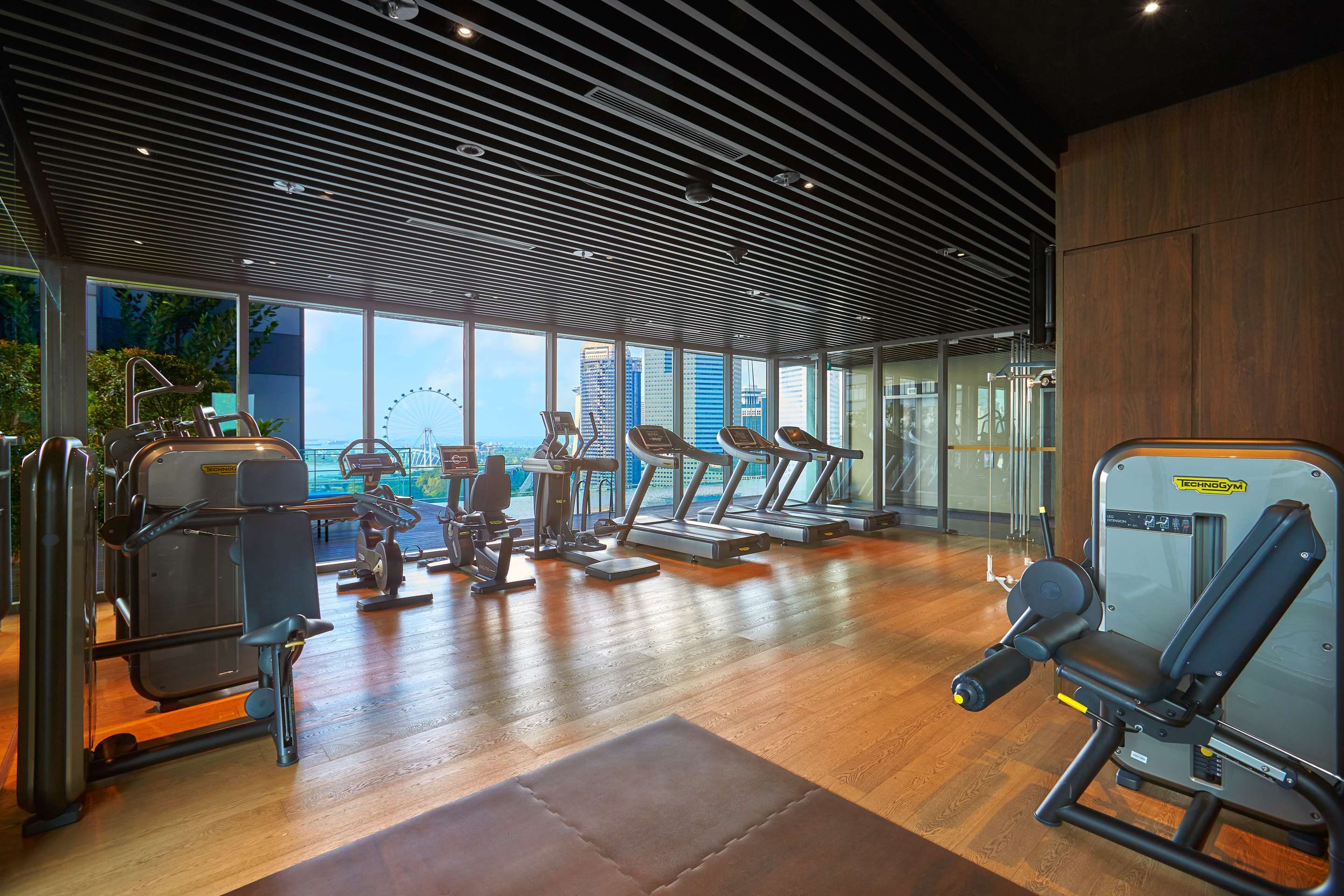 Gimnasio