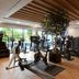 Gimnasio
