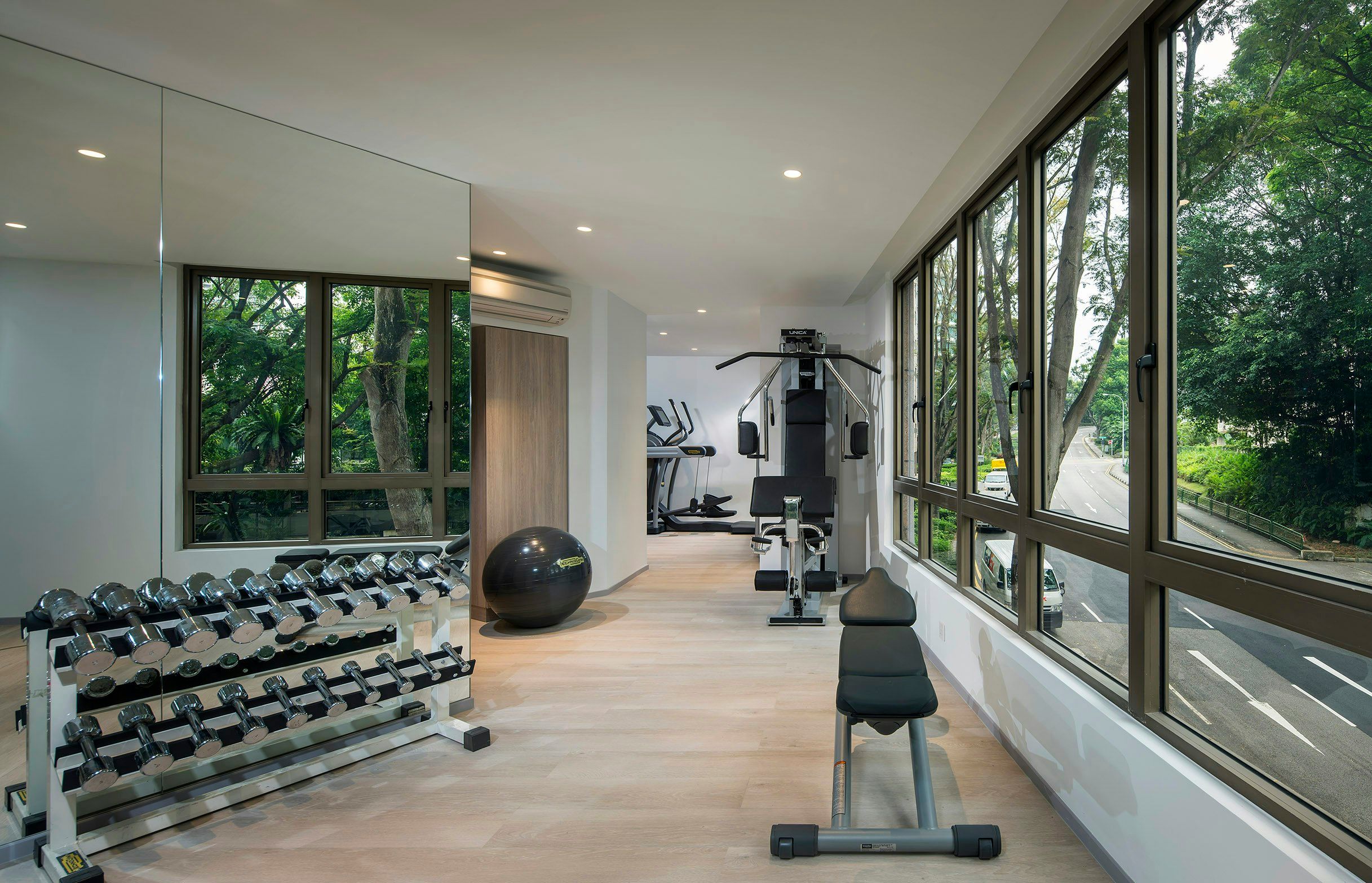 Gimnasio