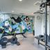 Gimnasio