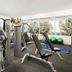 Gimnasio