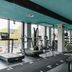Gimnasio