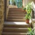 Escaleras