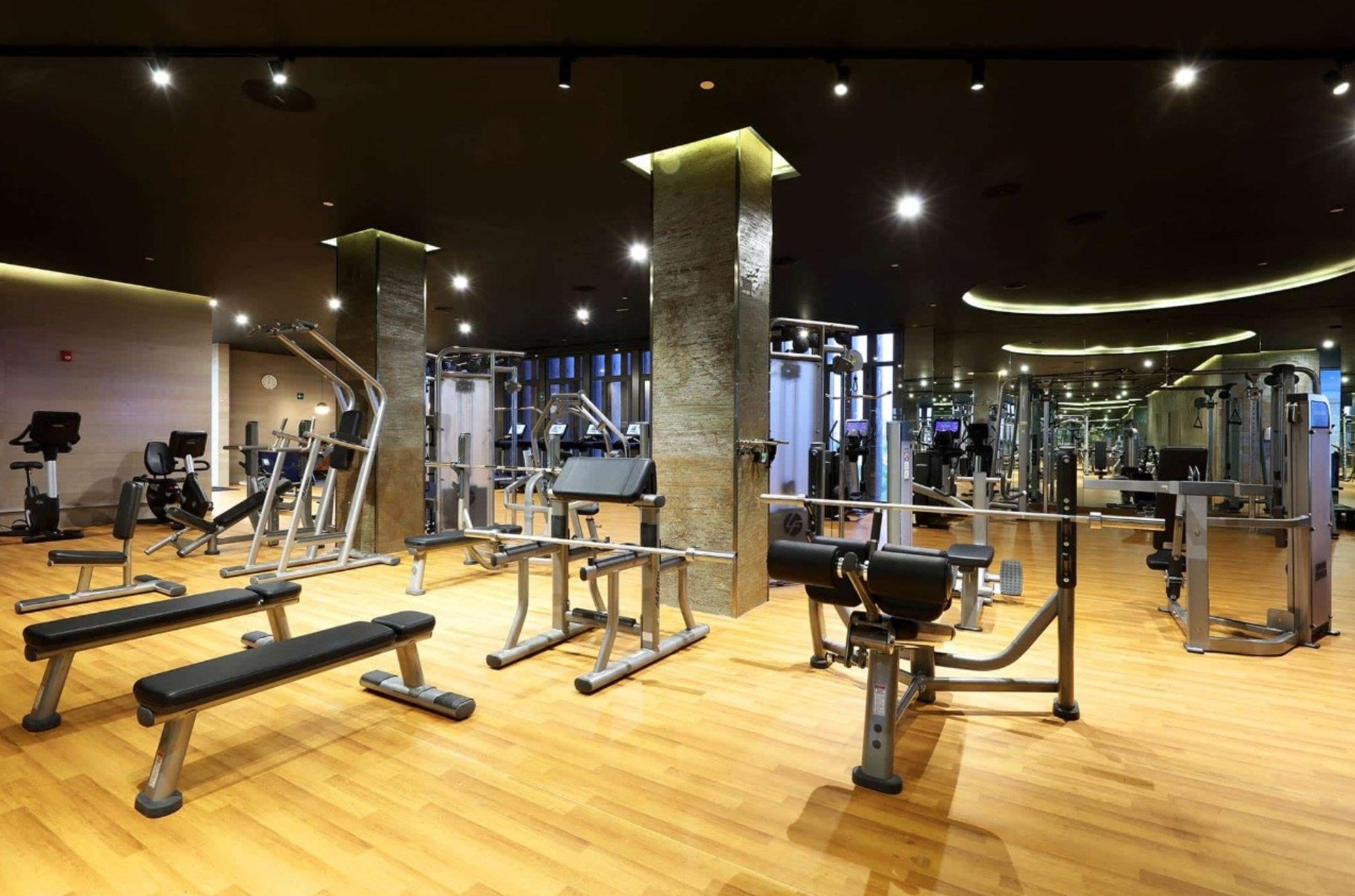 Gimnasio