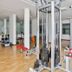 Gimnasio