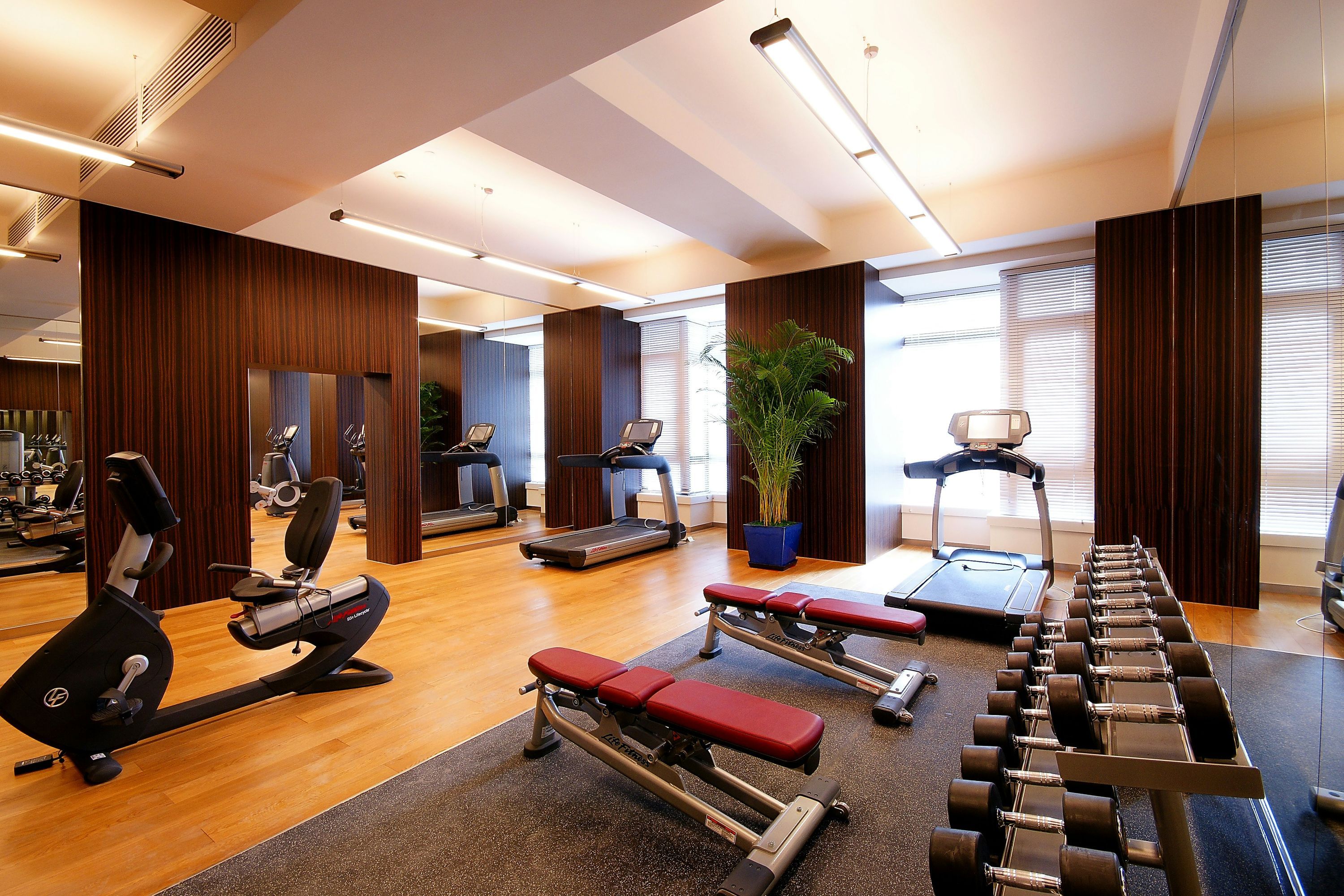 Gimnasio