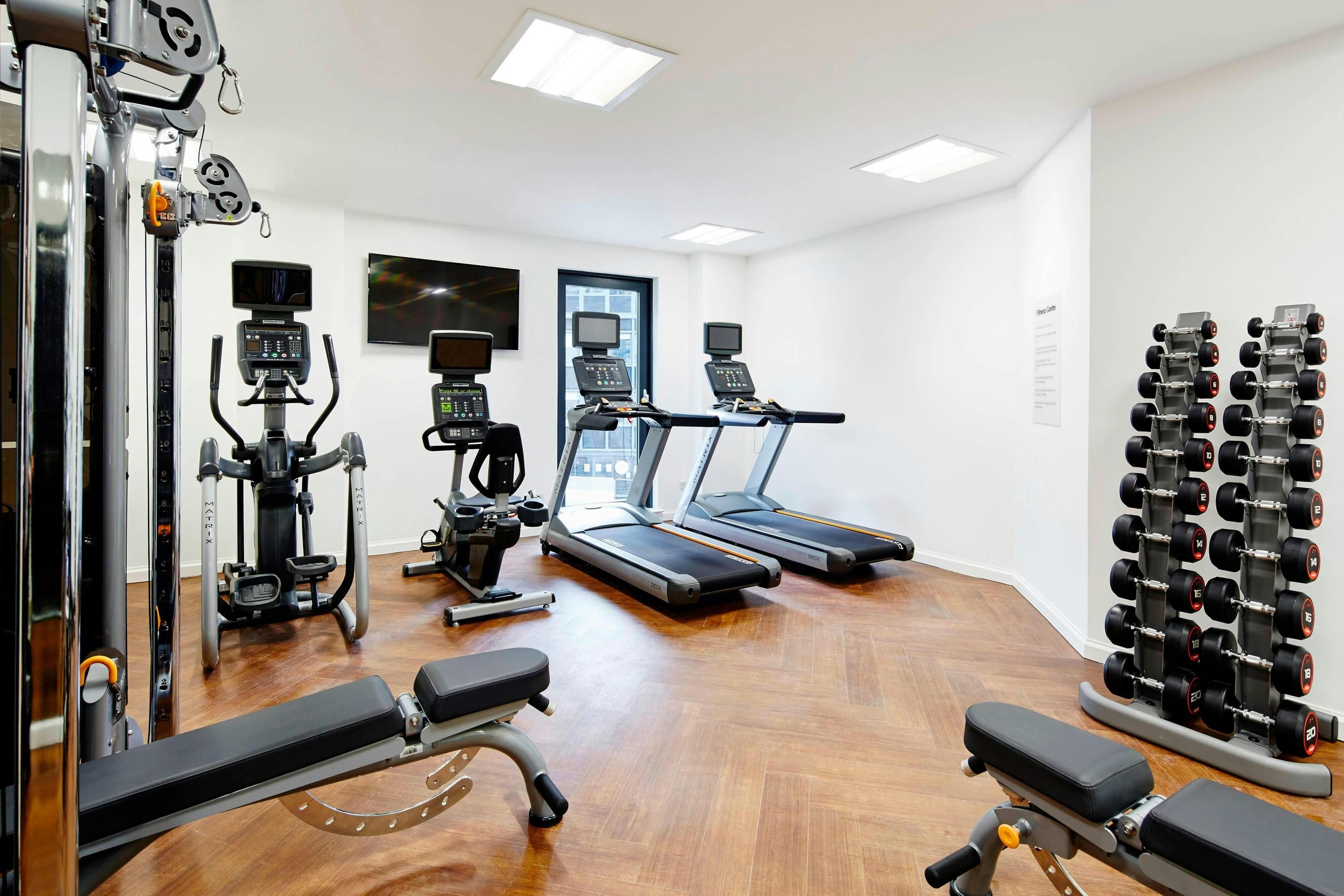 Gimnasio