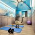 Gimnasio