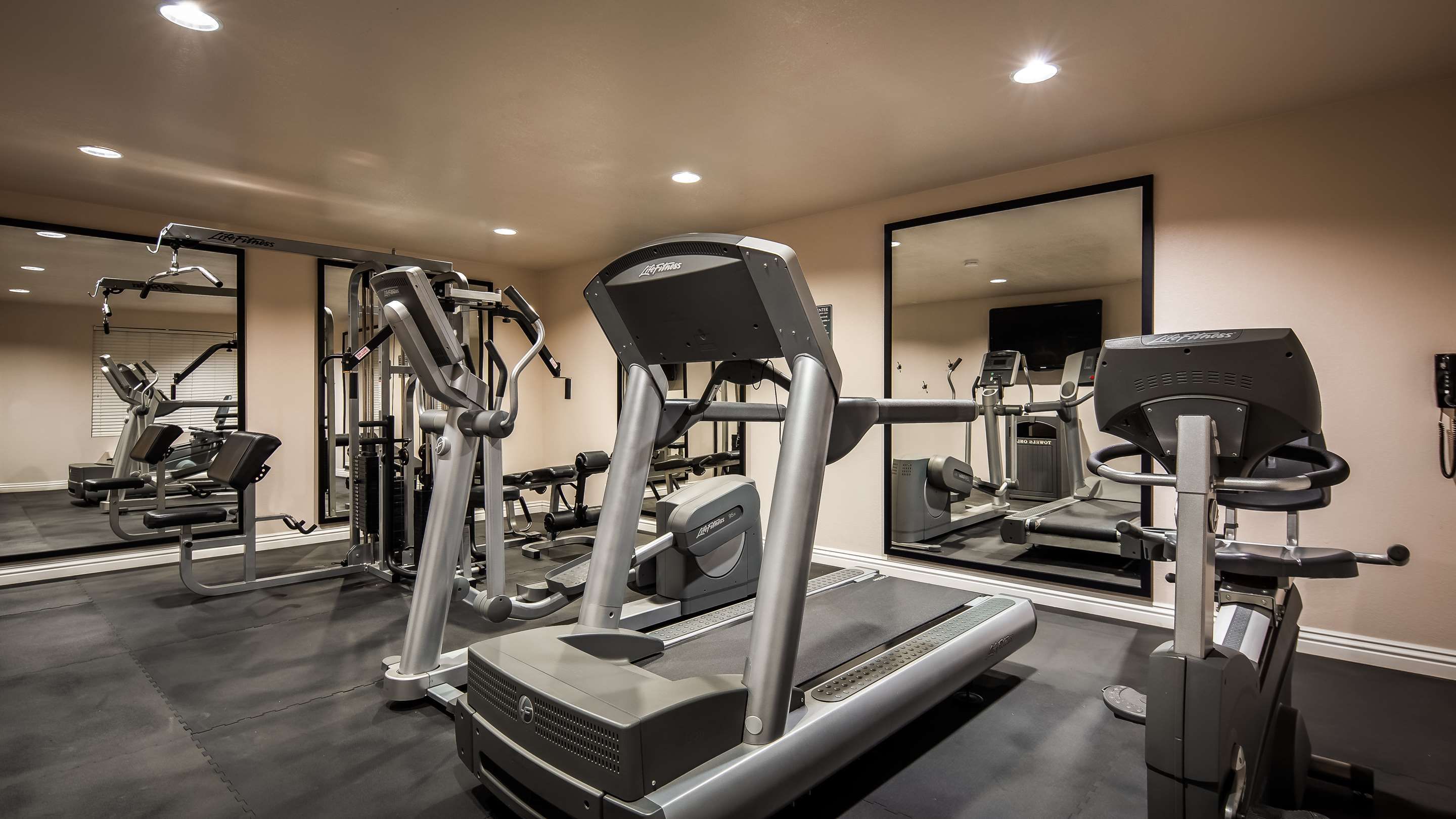 Gimnasio